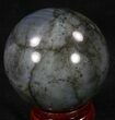 Flashy Labradorite Sphere - Great Color Play #37102-1
